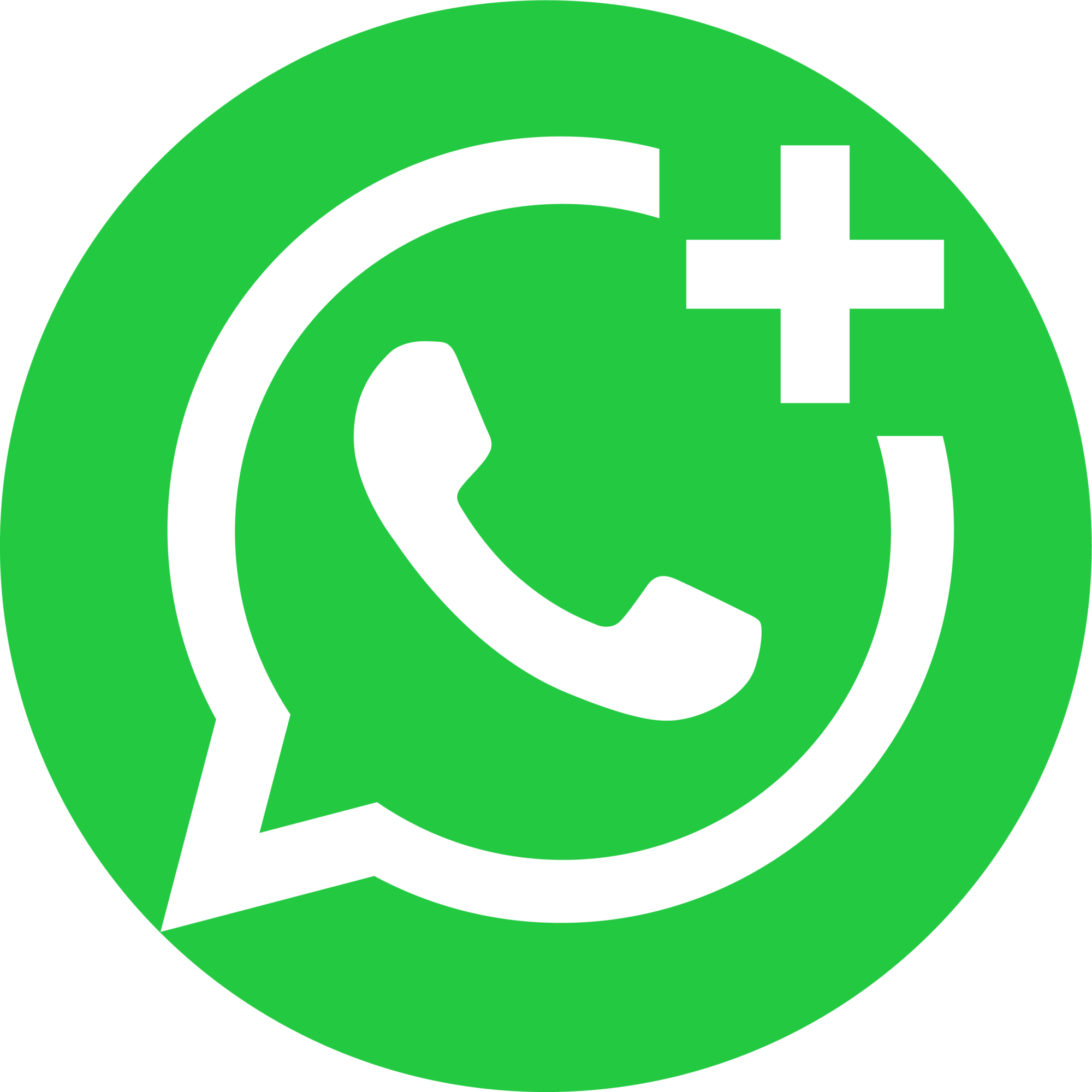 Whatsapp Business Agent